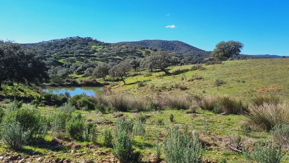 2 soverom Finca/Herregård til salgs i Zufre med garasje - € 1 250 000 (Ref: 8097259)
