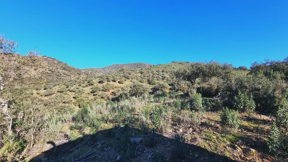 2 soverom Finca/Herregård til salgs i Zufre med garasje - € 1 250 000 (Ref: 8097259)