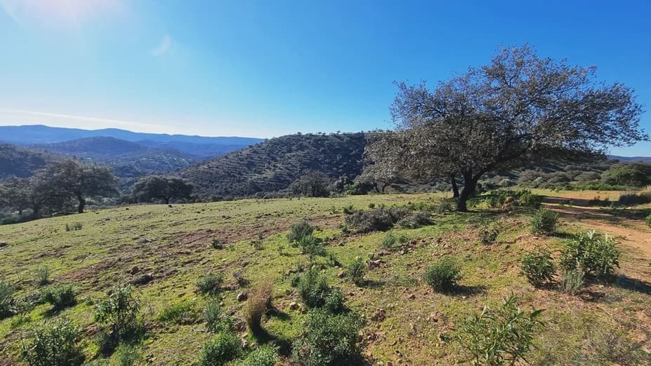 2 soverom Finca/Herregård til salgs i Zufre med garasje - € 1 250 000 (Ref: 8097259)