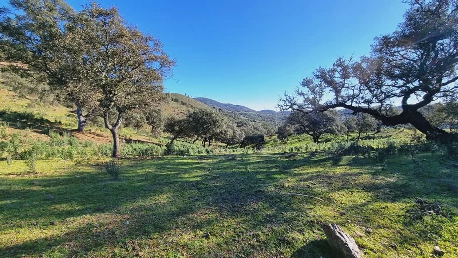 2 soverom Finca/Herregård til salgs i Zufre med garasje - € 1 250 000 (Ref: 8097259)