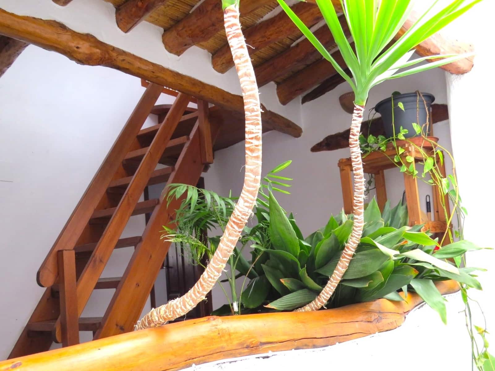 4 soveværelse Byhus til salg i Valor - € 170.000 (Ref: 8211908)