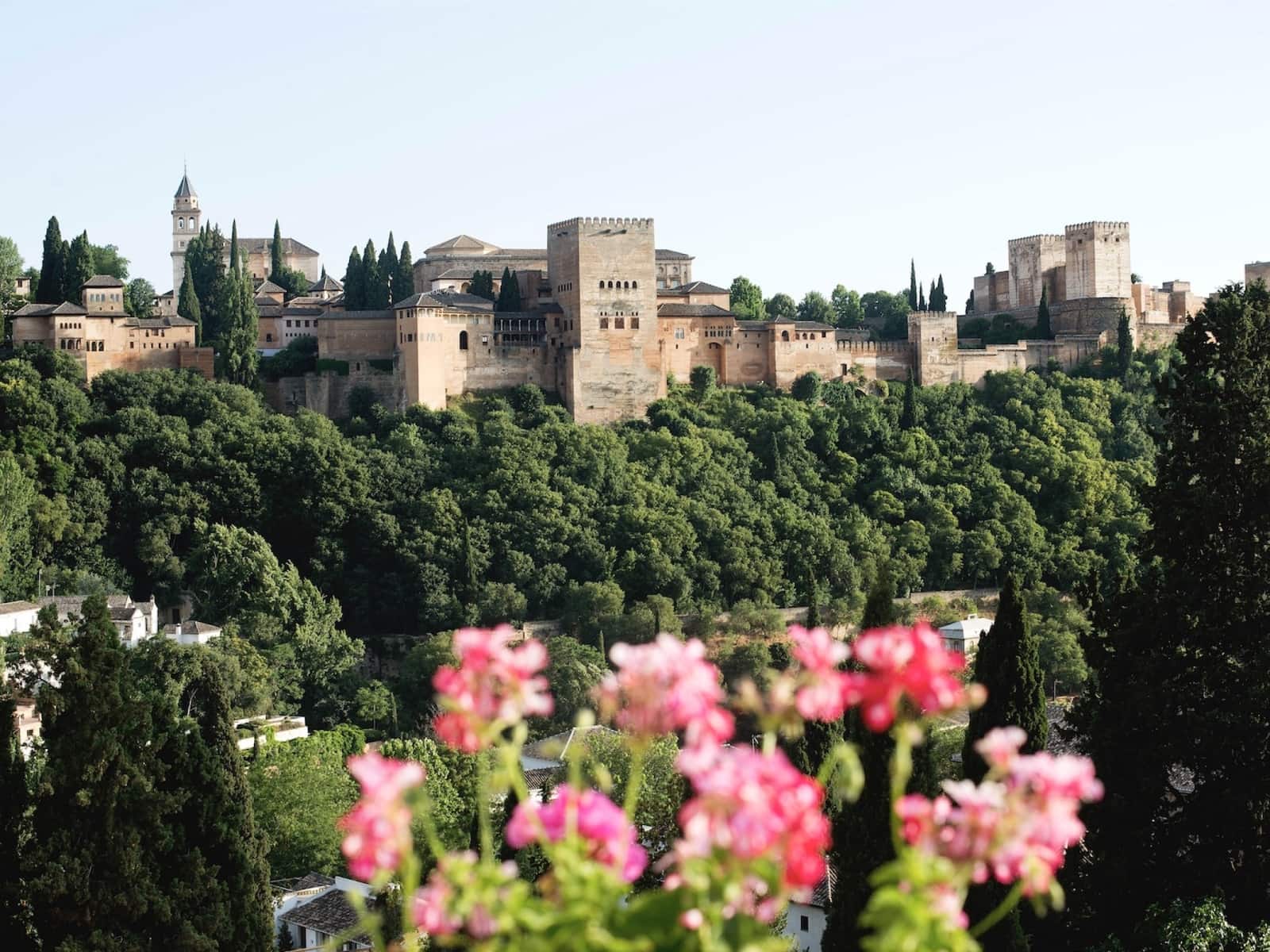 8 soverom Grottehus til salgs i Granada by med svømmebasseng - € 1 200 000 (Ref: 8246548)