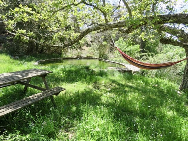 6 sovrum Finca/Hus på landet till salu i Cazorla med pool - 550 000 € (Ref: 8301453)