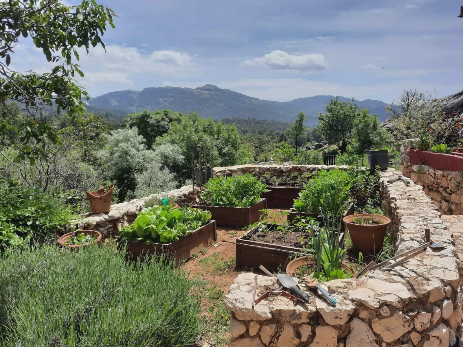 6 soveværelse Finca/Landehus til salg i Villacarrillo med swimmingpool - € 550.000 (Ref: 8301453)