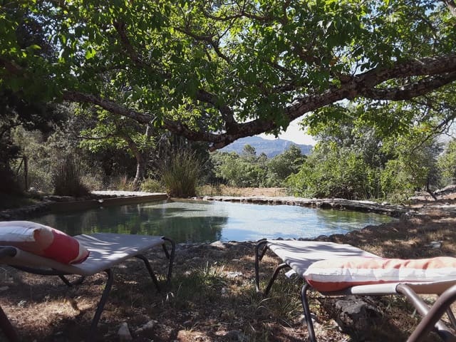 6 camera da letto Finca/Casa di Campagna in vendita in Villacarrillo con piscina - 550.000 € (Rif: 8301453)