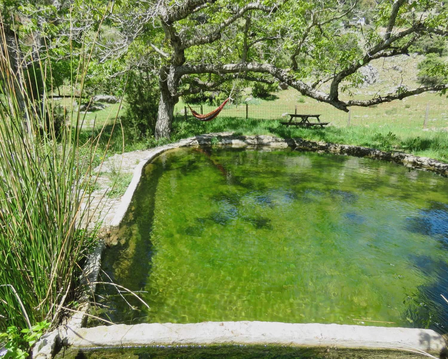 6 soveværelse Finca/Landehus til salg i Villacarrillo med swimmingpool - € 550.000 (Ref: 8301453)