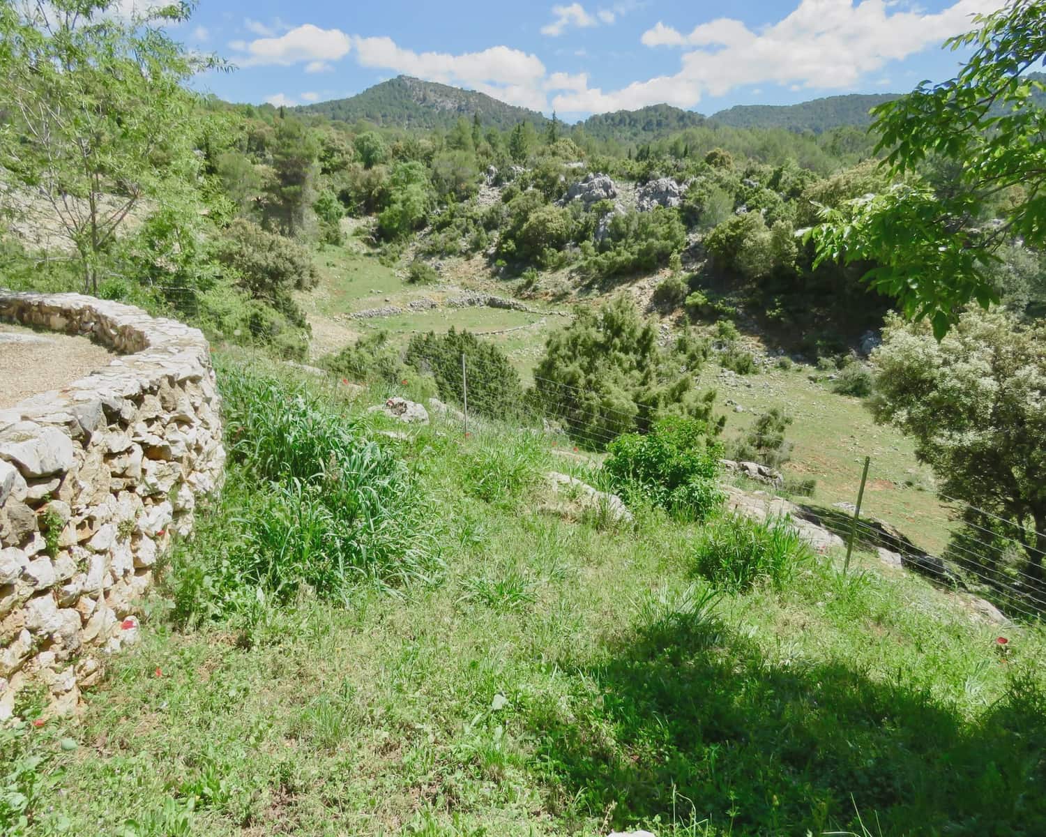 6 soveværelse Finca/Landehus til salg i Villacarrillo med swimmingpool - € 550.000 (Ref: 8301453)