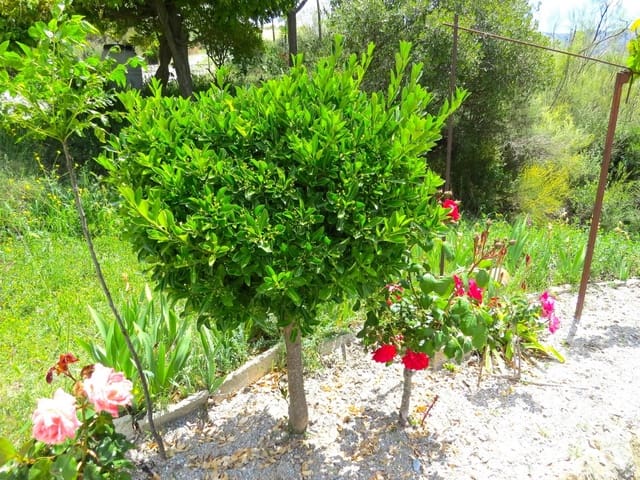 3 soveværelse Finca/Landehus til salg i Cástaras - € 160.000 (Ref: 8316912)