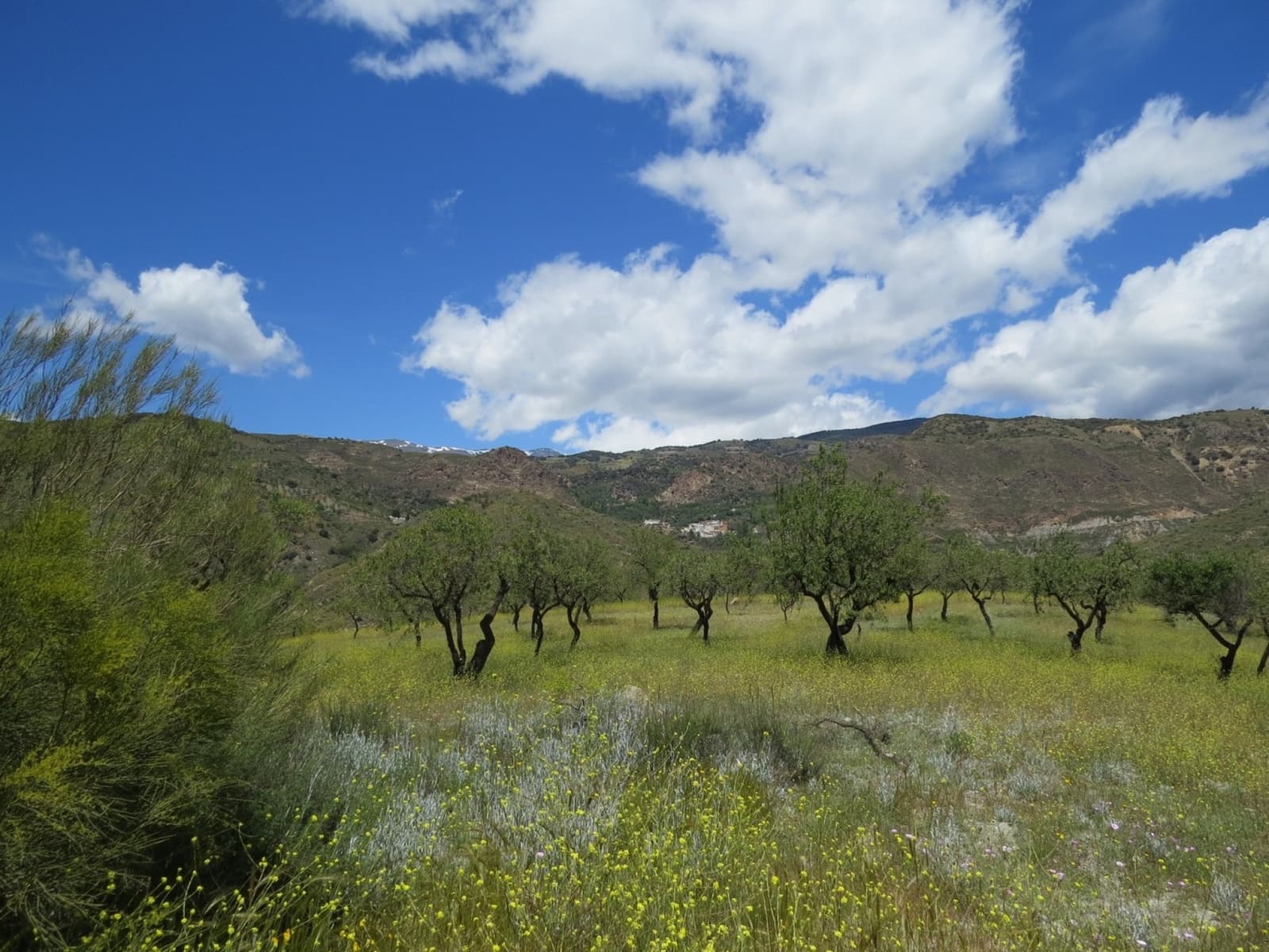 3 soveværelse Finca/Landehus til salg i Castaras - € 160.000 (Ref: 8316912)