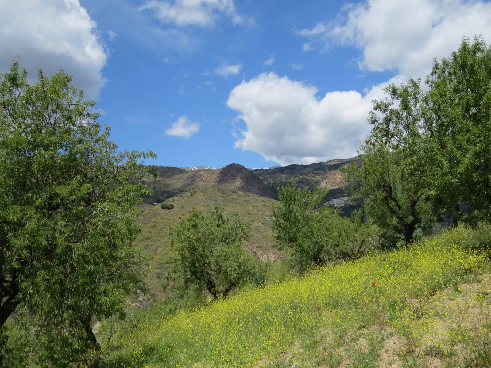 3 soveværelse Finca/Landehus til salg i Castaras - € 160.000 (Ref: 8316912)