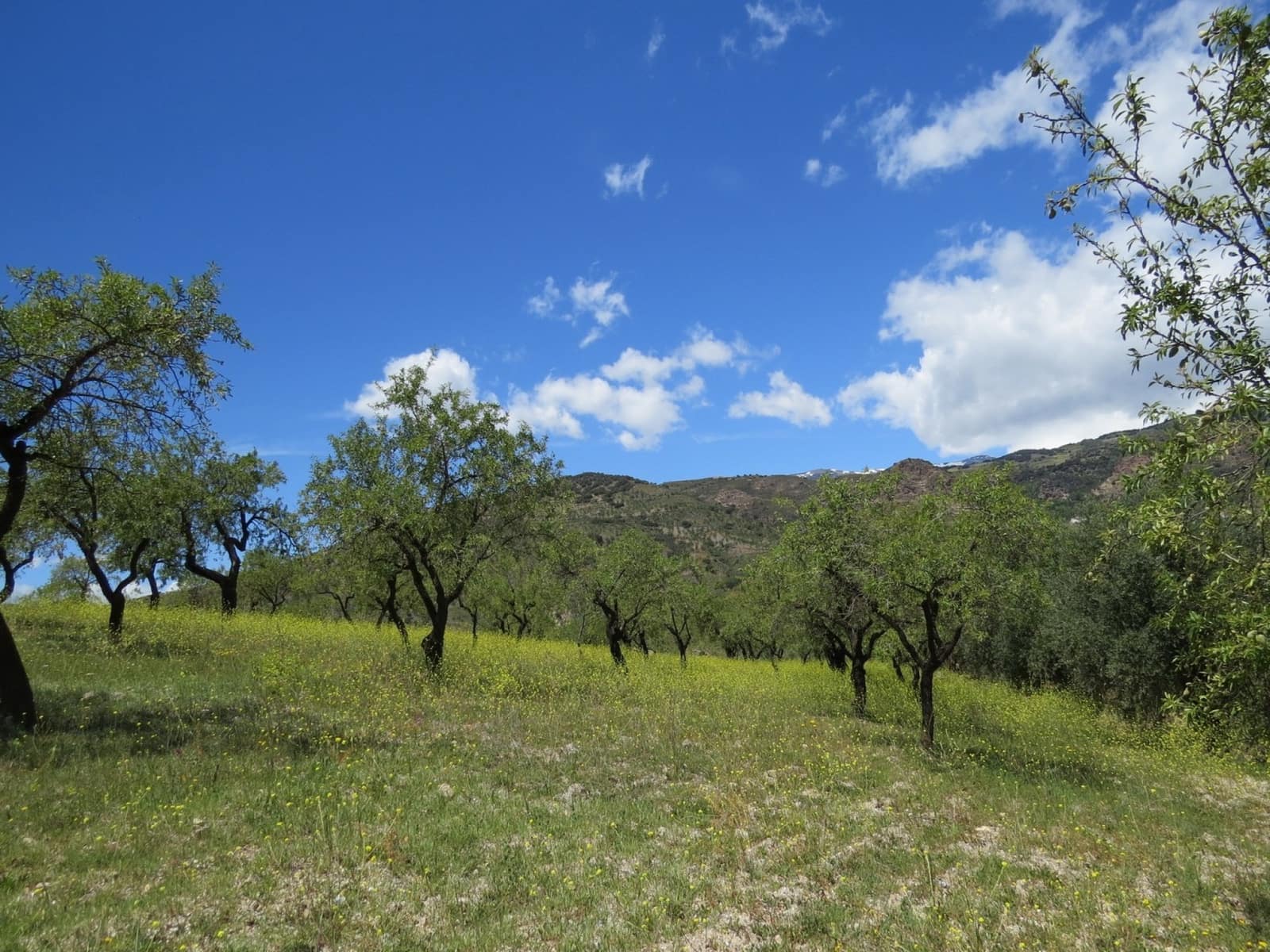 3 soveværelse Finca/Landehus til salg i Castaras - € 160.000 (Ref: 8316912)