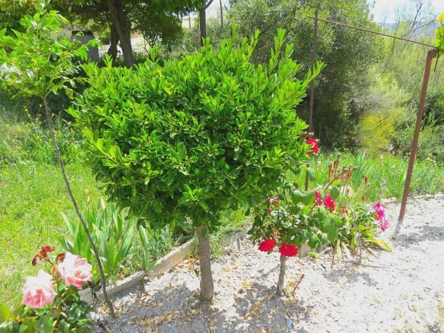3 chambre Finca/Maison de Campagne à vendre à Cástaras avec garage - 160 000 € (Ref: 8316912)