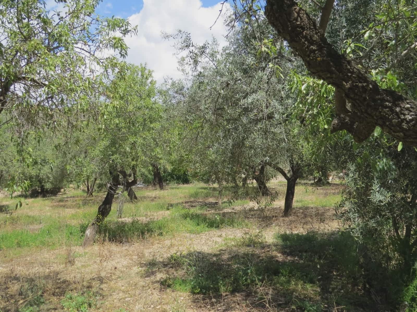 3 sovrum Finca/Hus på landet till salu i Castaras med garage - 160 000 € (Ref: 8316912)