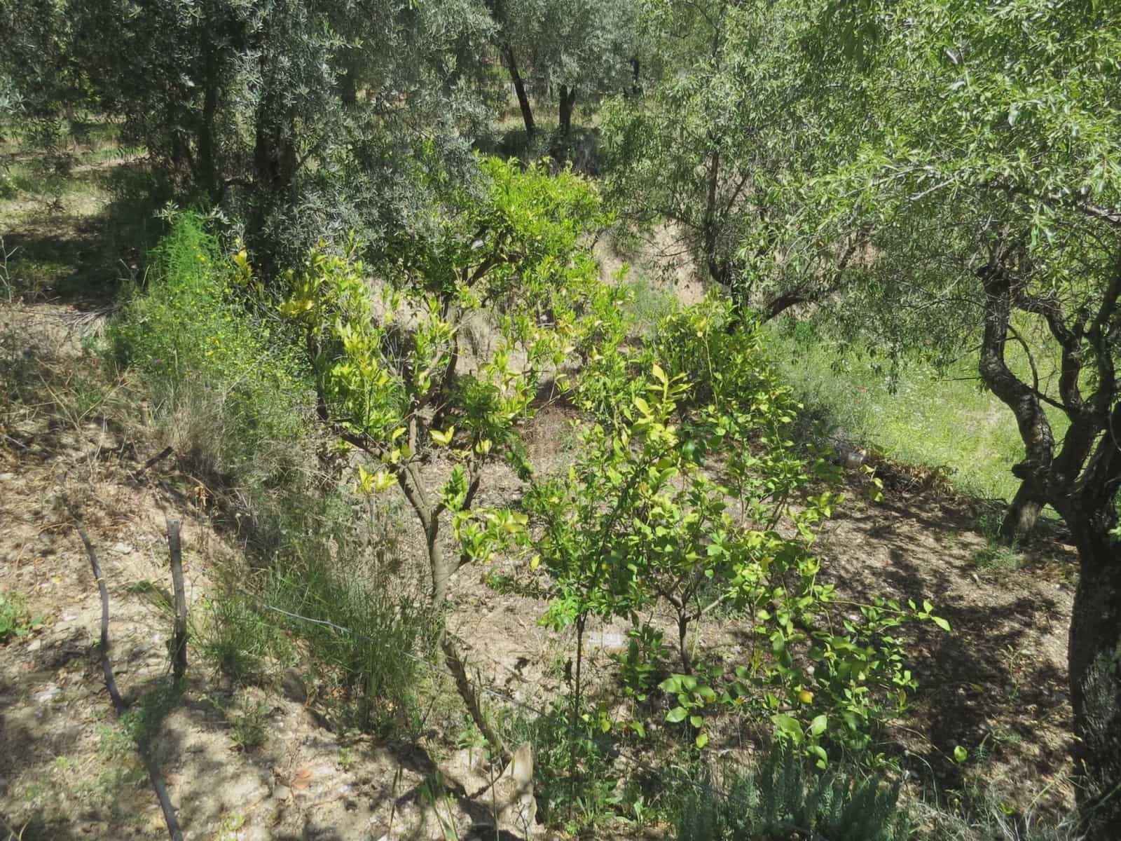 3 sovrum Finca/Hus på landet till salu i Castaras med garage - 160 000 € (Ref: 8316912)
