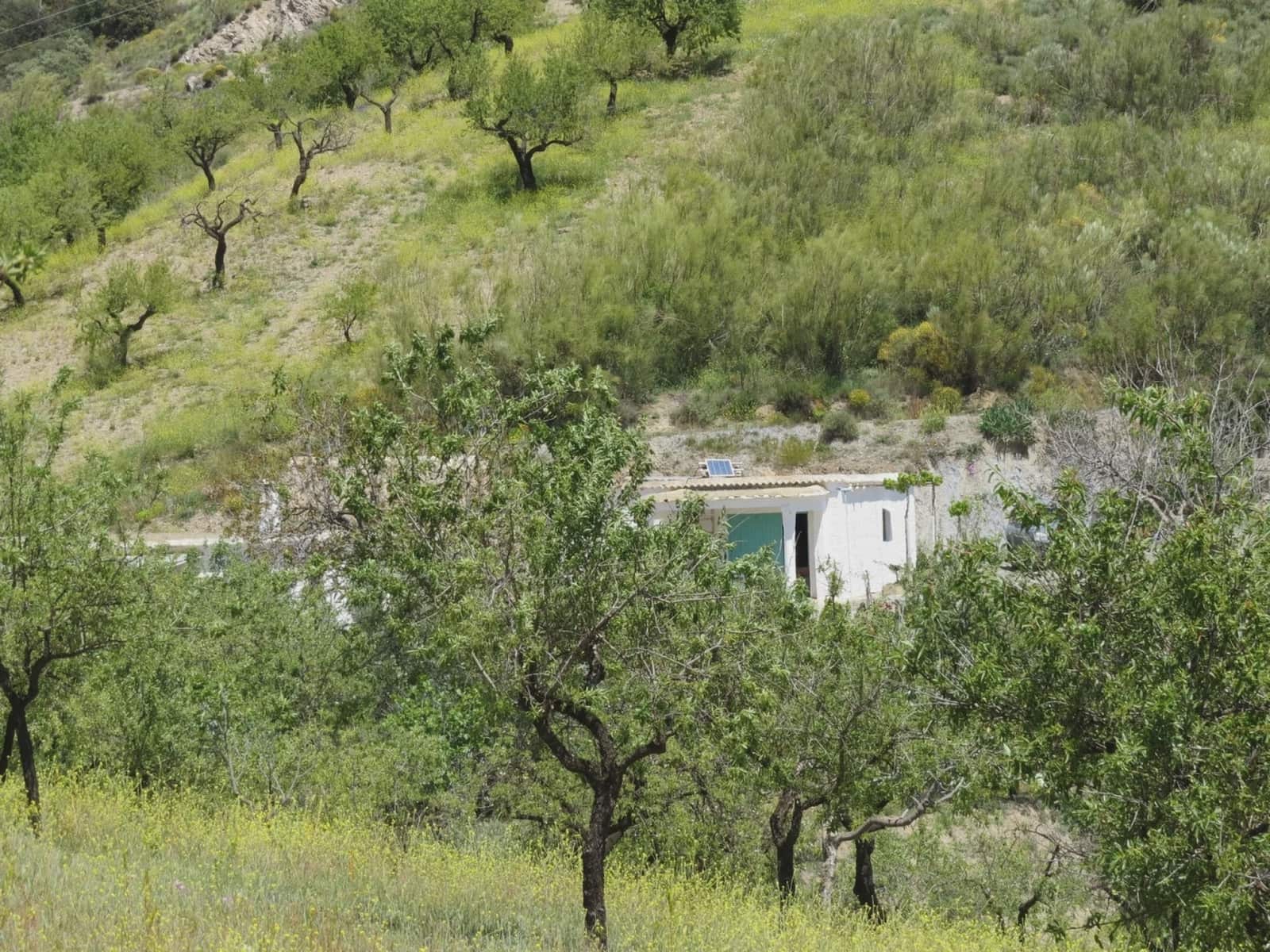 3 sovrum Finca/Hus på landet till salu i Castaras med garage - 160 000 € (Ref: 8316912)