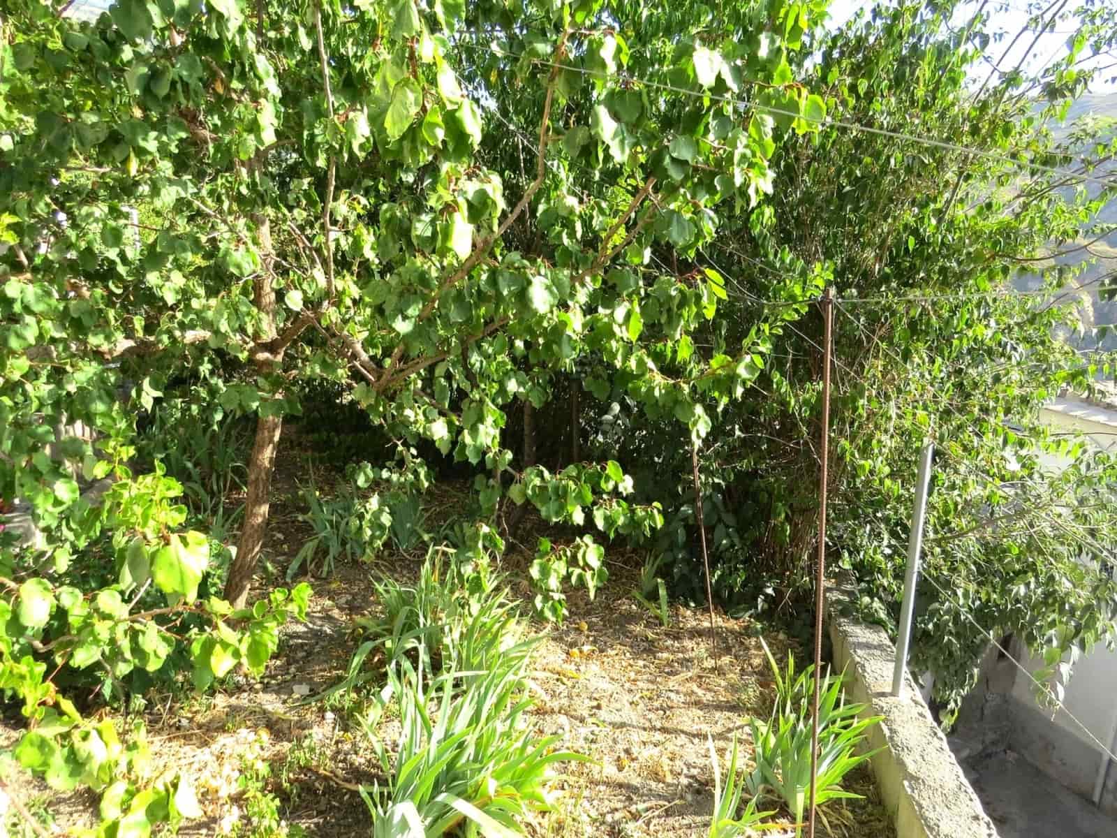 4 soveværelse Villa til salg i Mecina Bombaron - € 125.000 (Ref: 8500907)