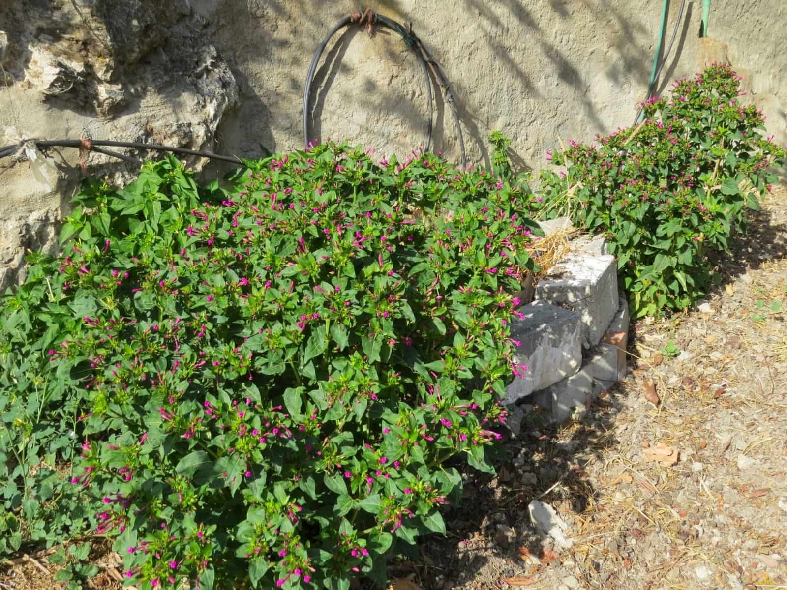 4 soveværelse Villa til salg i Mecina Bombaron - € 125.000 (Ref: 8500907)