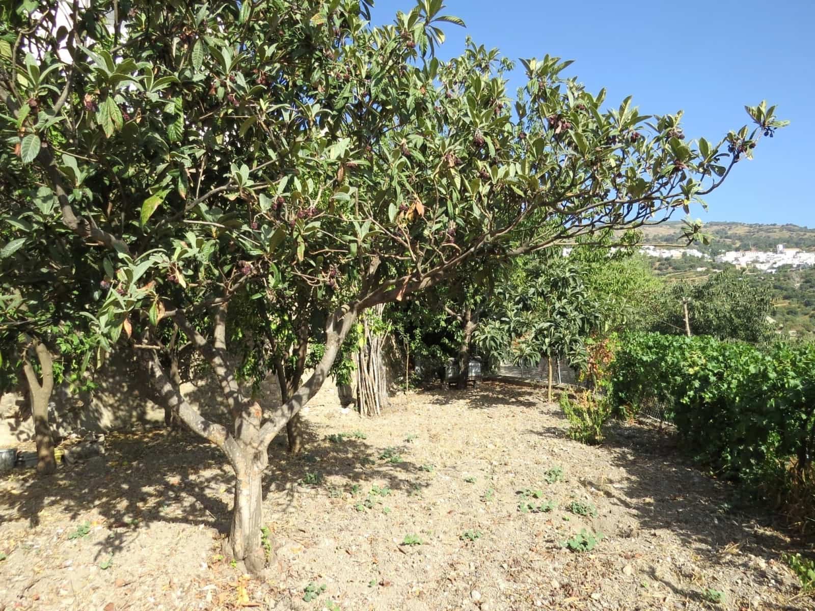 4 soveværelse Villa til salg i Mecina Bombaron - € 125.000 (Ref: 8500907)