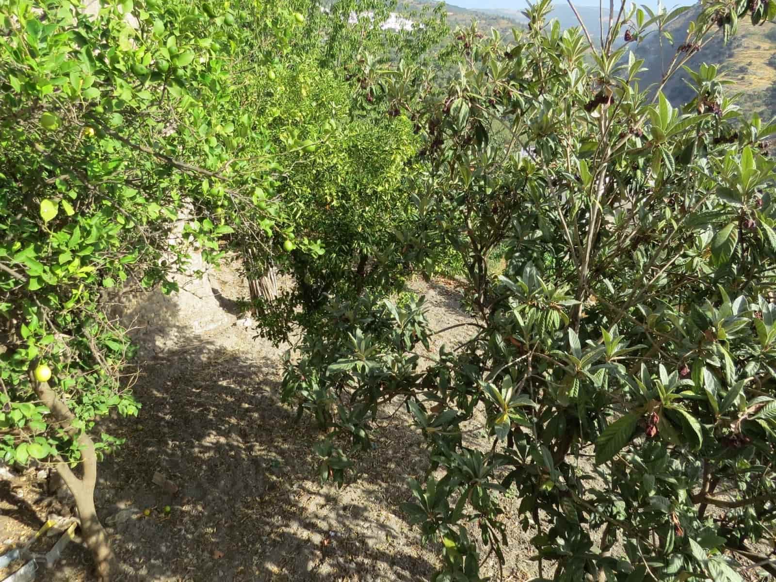 4 soveværelse Villa til salg i Mecina Bombaron - € 125.000 (Ref: 8500907)