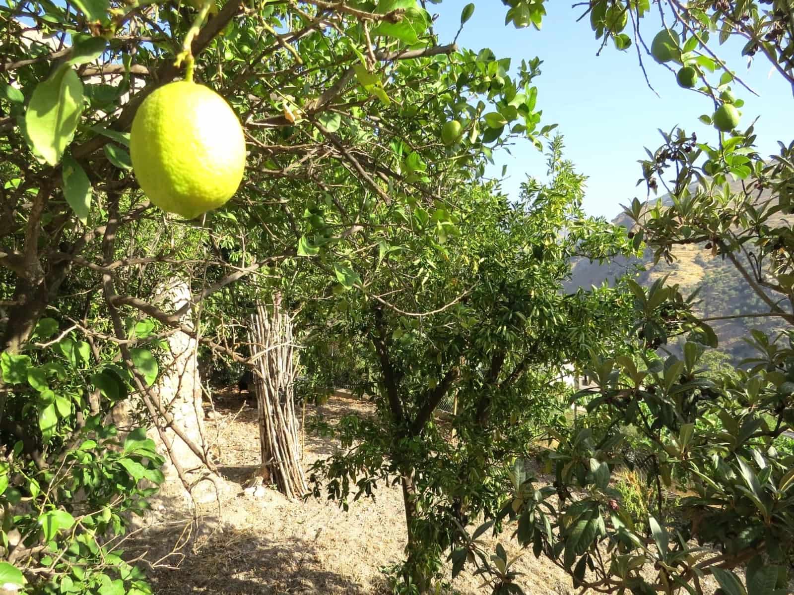 4 soveværelse Villa til salg i Mecina Bombaron - € 125.000 (Ref: 8500907)