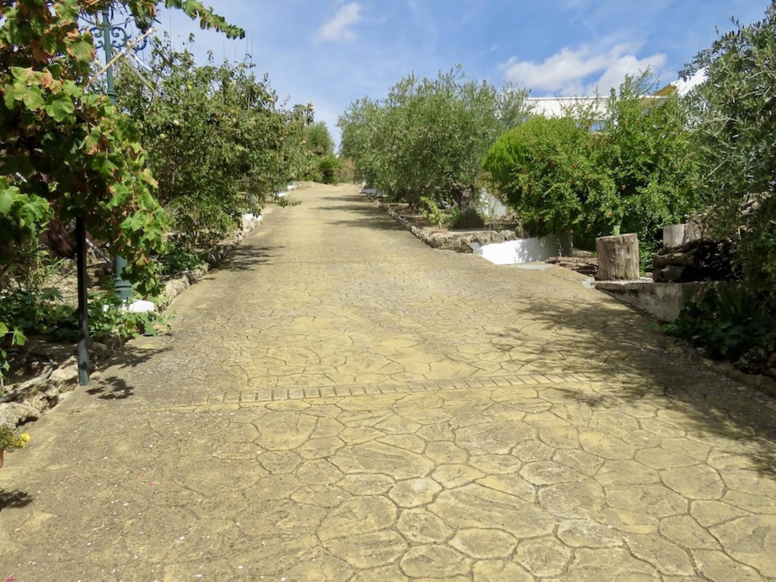 6 soveværelse Villa til salg i Villa Turistica de la Subbetica med swimmingpool garage - € 498.000 (Ref: 8602500)