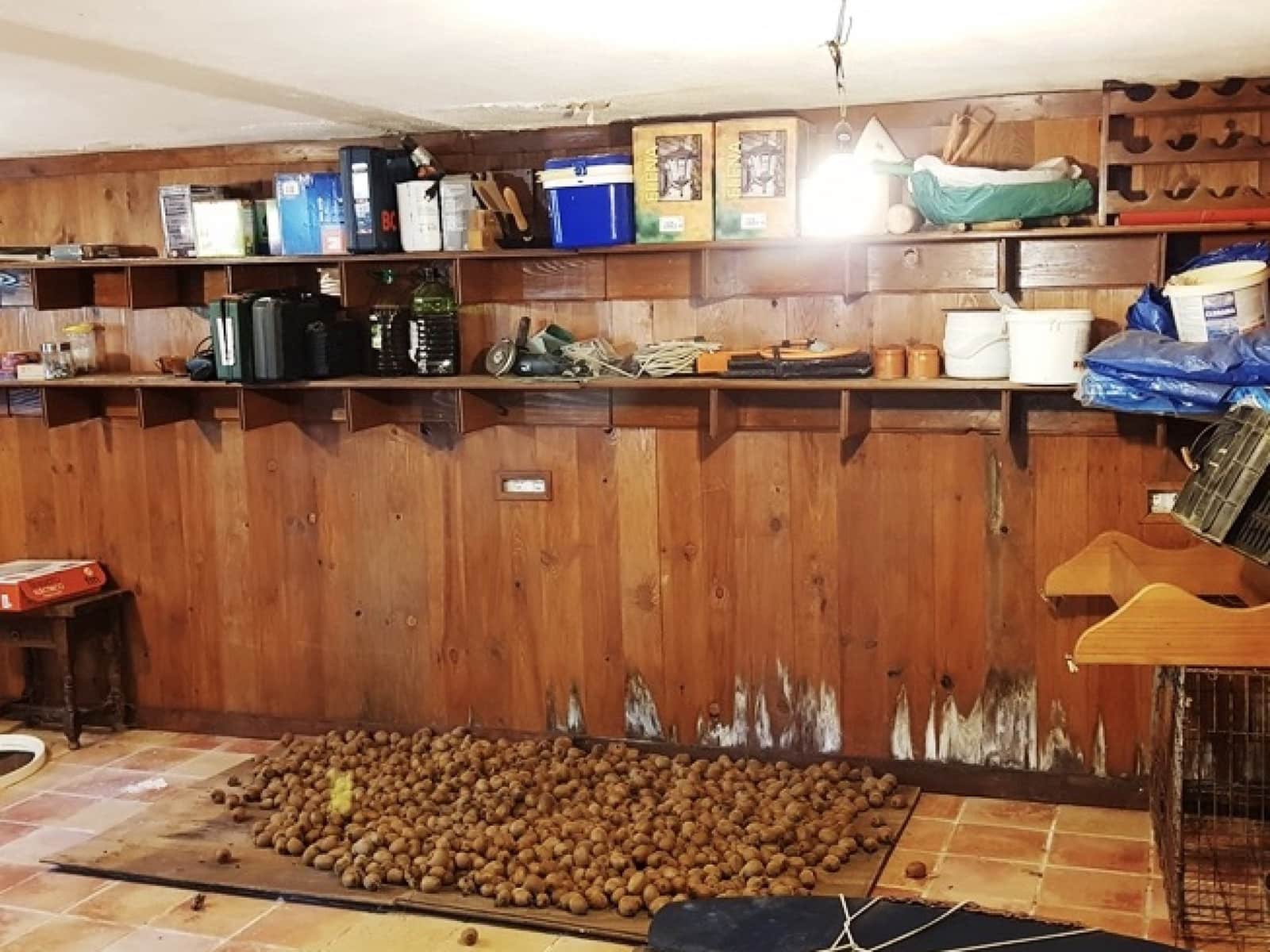 4 soveværelse Finca/Landehus til salg i Galaroza med swimmingpool - € 695.000 (Ref: 8670900)