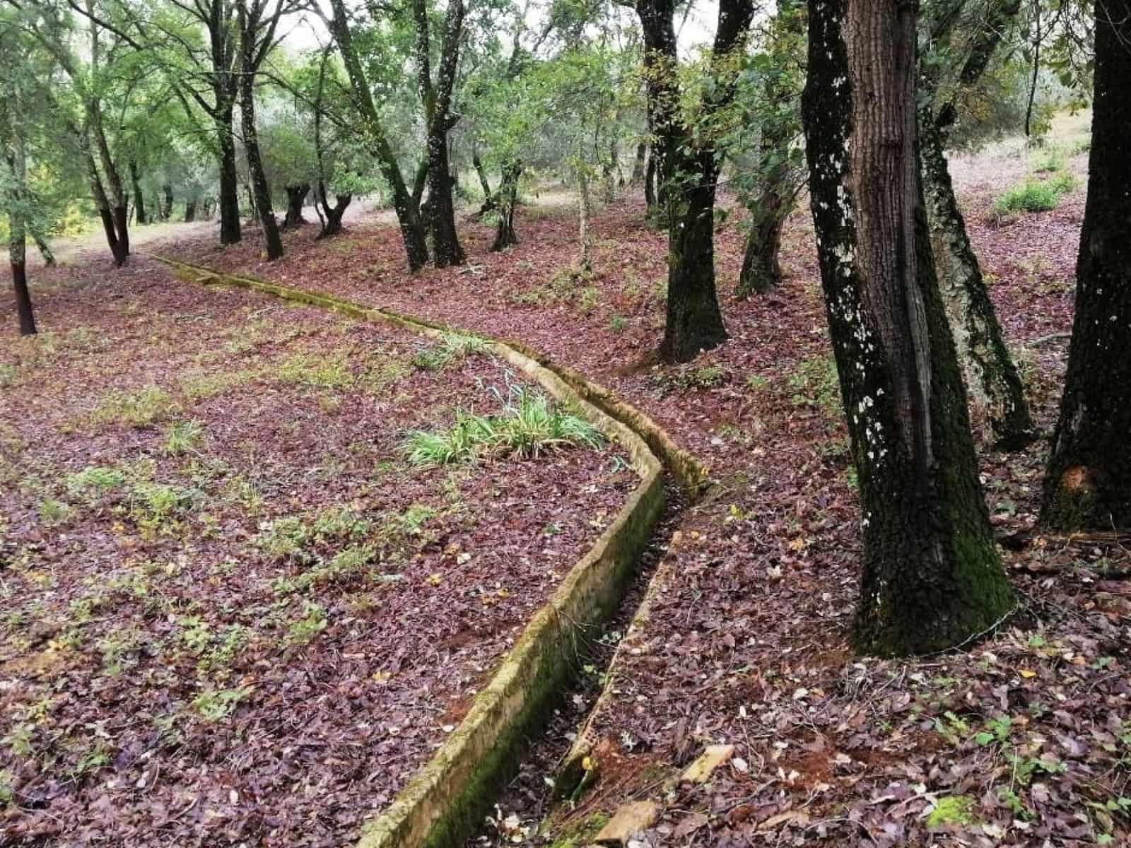 4 soveværelse Finca/Landehus til salg i Galaroza med swimmingpool - € 695.000 (Ref: 8670900)