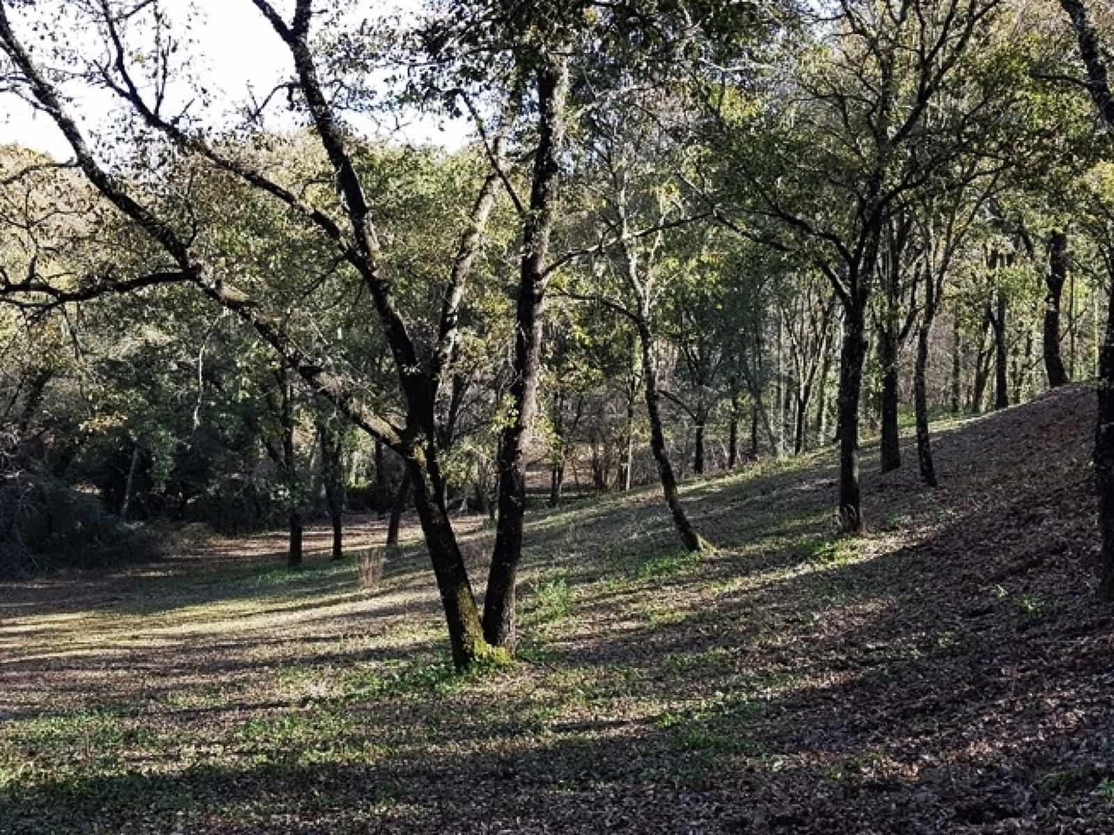 4 soveværelse Finca/Landehus til salg i Galaroza med swimmingpool - € 695.000 (Ref: 8670900)