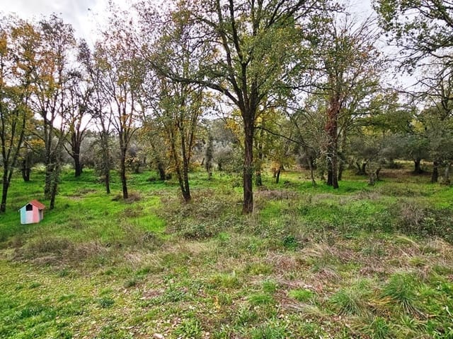 4 chambre Finca/Maison de Campagne à vendre à Galaroza avec piscine - 695 000 € (Ref: 8670900)