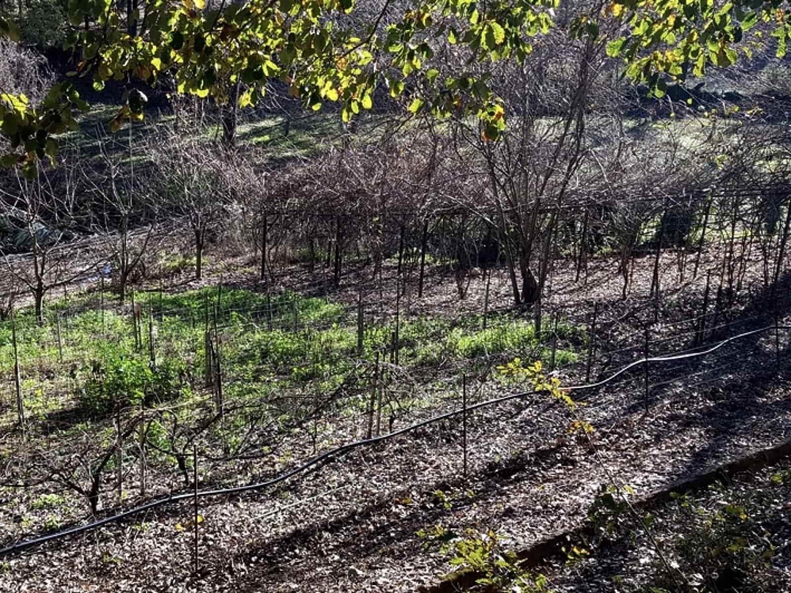 4 soveværelse Finca/Landehus til salg i Galaroza med swimmingpool - € 695.000 (Ref: 8670900)