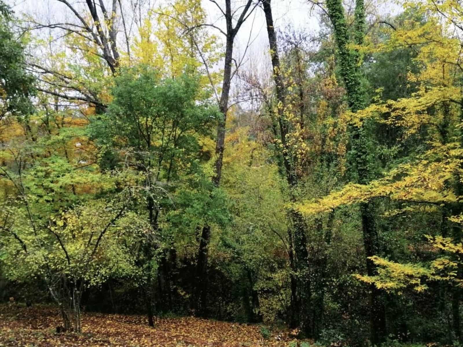 4 soveværelse Finca/Landehus til salg i Galaroza med swimmingpool - € 695.000 (Ref: 8670900)