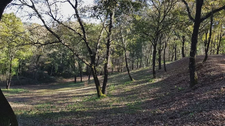 4 soverom Finca/Herregård til salgs i Galaroza - € 695 000 (Ref: 8670900)