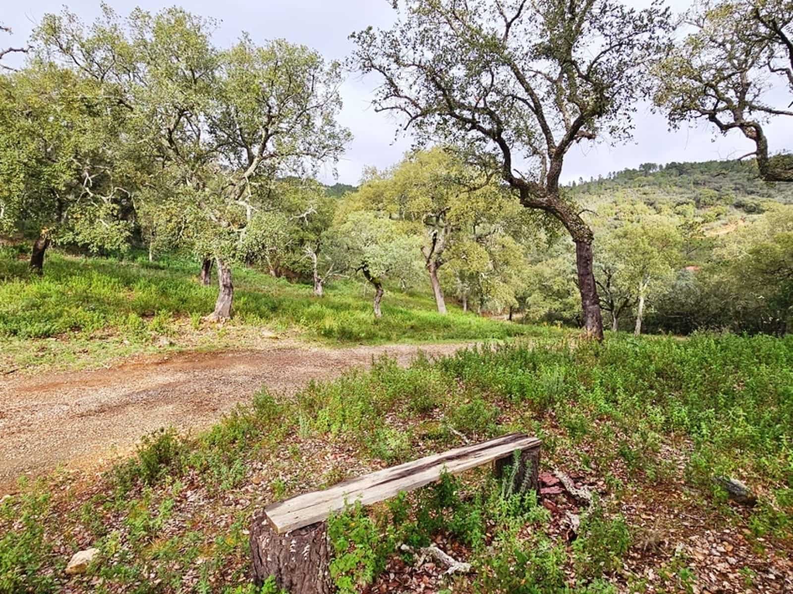 4 soveværelse Finca/Landehus til salg i Fuenteheridos med swimmingpool - € 675.000 (Ref: 8675245)