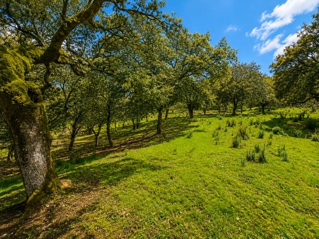 4 sovrum Finca/Hus på landet till salu i Fuenteheridos med pool - 675 000 € (Ref: 8675245)
