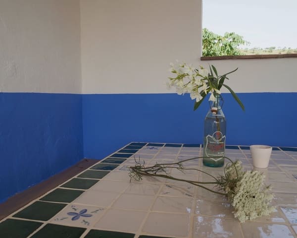 2 slaapkamer Finca/Landhuis te koop in Alora - € 295.000 (Ref: 8728812)