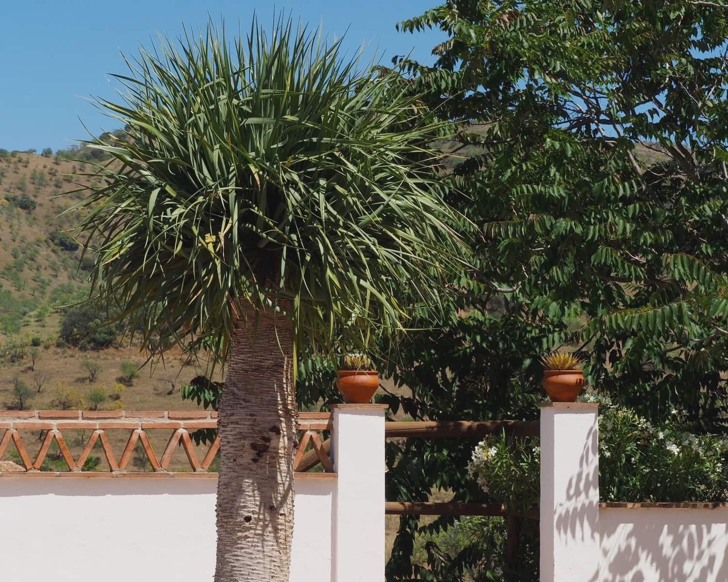 2 slaapkamer Finca/Landhuis te koop in Alora - € 295.000 (Ref: 8728812)
