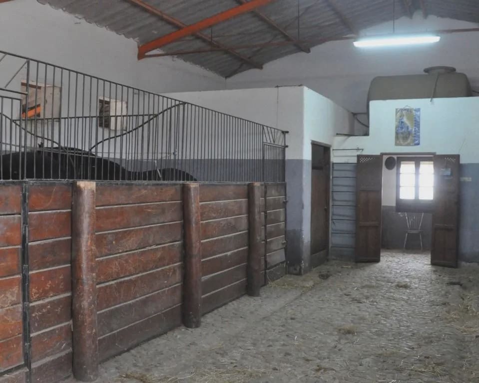5 soverom Finca/Herregård til salgs i La Puebla de Cazalla med svømmebasseng garasje - € 900 000 (Ref: 8728815)