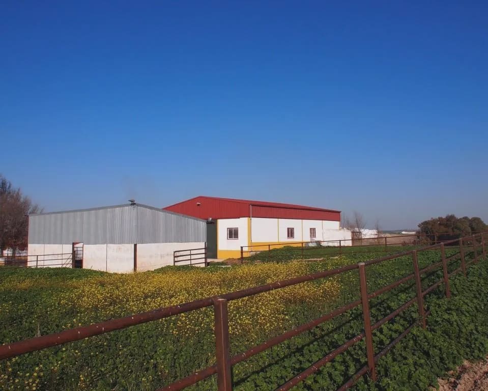 5 soverom Finca/Herregård til salgs i La Puebla de Cazalla med svømmebasseng garasje - € 900 000 (Ref: 8728815)