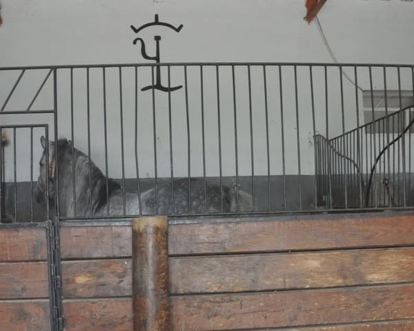 5 soverom Finca/Herregård til salgs i La Puebla de Cazalla med svømmebasseng garasje - € 900 000 (Ref: 8728815)