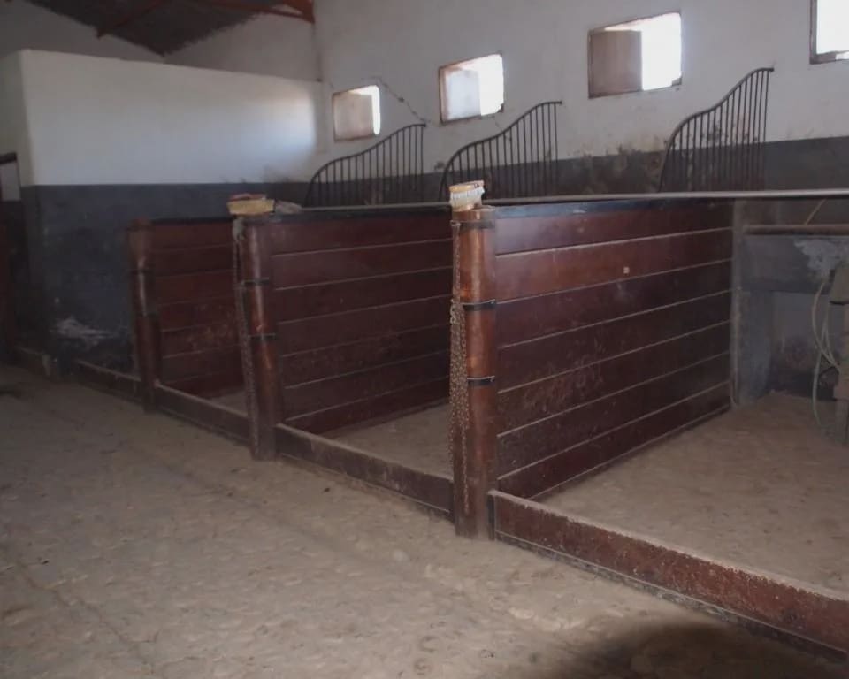 5 soverom Finca/Herregård til salgs i La Puebla de Cazalla med svømmebasseng garasje - € 900 000 (Ref: 8728815)