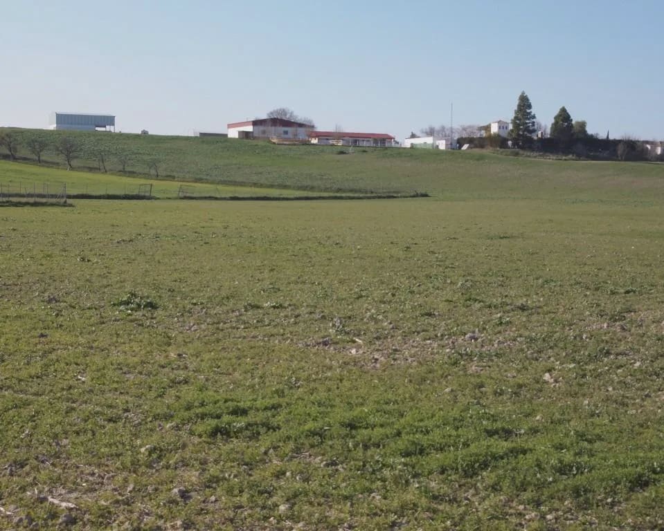 5 soverom Finca/Herregård til salgs i La Puebla de Cazalla med svømmebasseng garasje - € 900 000 (Ref: 8728815)