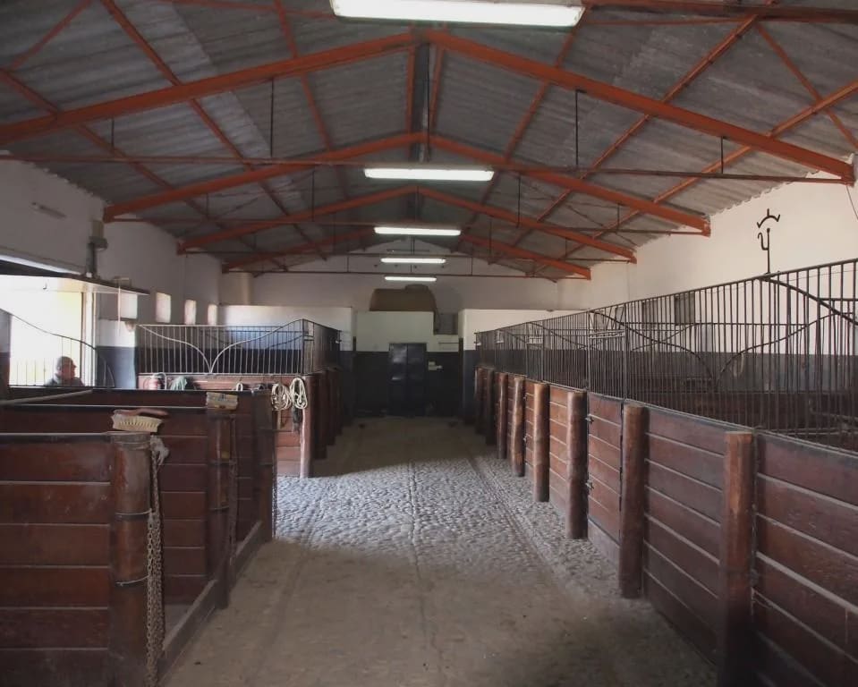 5 soverom Finca/Herregård til salgs i La Puebla de Cazalla med svømmebasseng garasje - € 900 000 (Ref: 8728815)