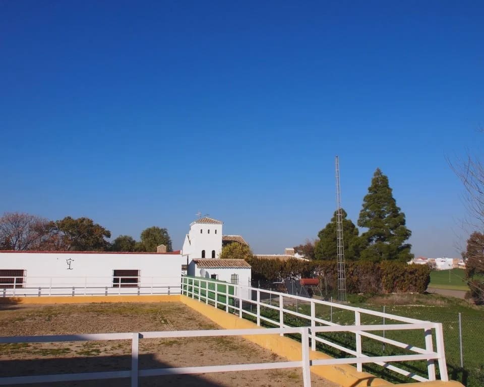 5 soverom Finca/Herregård til salgs i La Puebla de Cazalla med svømmebasseng garasje - € 900 000 (Ref: 8728815)