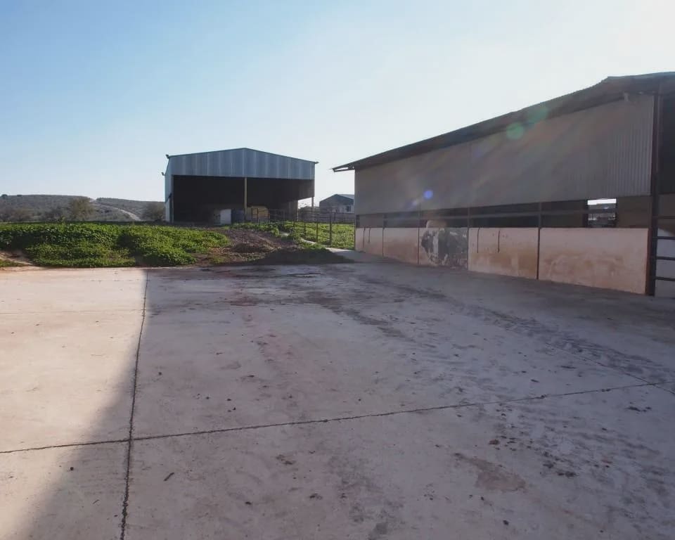 5 soverom Finca/Herregård til salgs i La Puebla de Cazalla med svømmebasseng garasje - € 900 000 (Ref: 8728815)