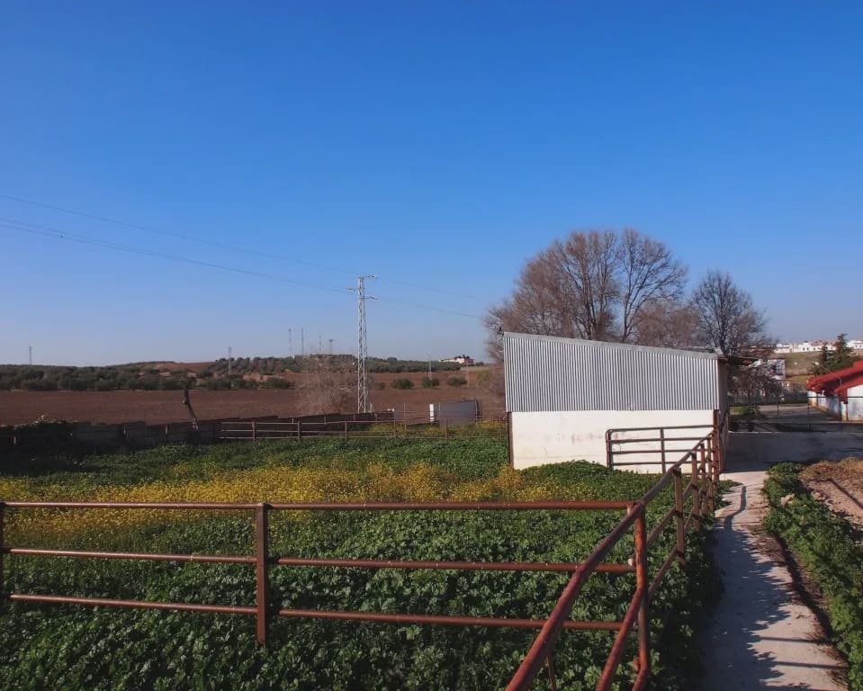 5 soverom Finca/Herregård til salgs i La Puebla de Cazalla med svømmebasseng garasje - € 900 000 (Ref: 8728815)