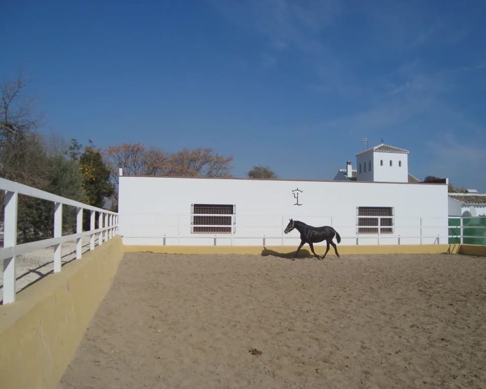 5 soverom Finca/Herregård til salgs i La Puebla de Cazalla med svømmebasseng garasje - € 900 000 (Ref: 8728815)