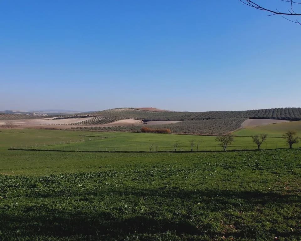 5 soverom Finca/Herregård til salgs i La Puebla de Cazalla med svømmebasseng garasje - € 900 000 (Ref: 8728815)