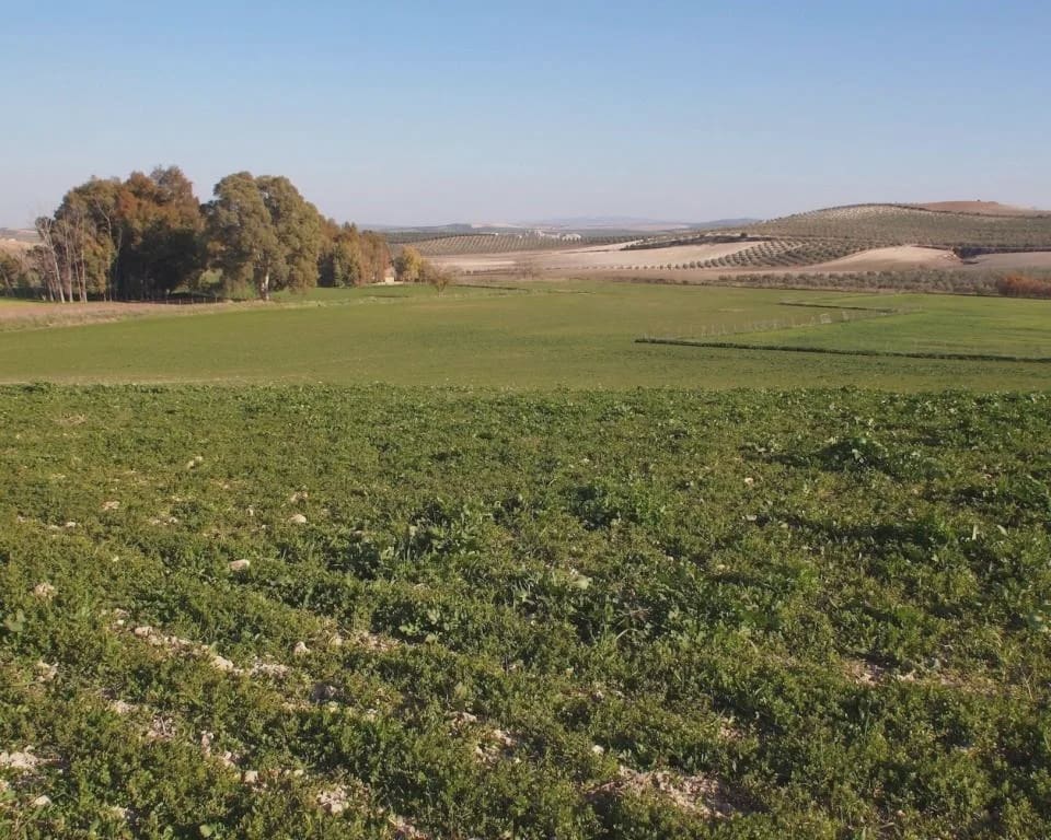 5 soverom Finca/Herregård til salgs i La Puebla de Cazalla med svømmebasseng garasje - € 900 000 (Ref: 8728815)