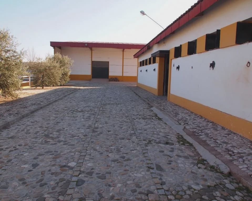 5 soverom Finca/Herregård til salgs i La Puebla de Cazalla med svømmebasseng garasje - € 900 000 (Ref: 8728815)