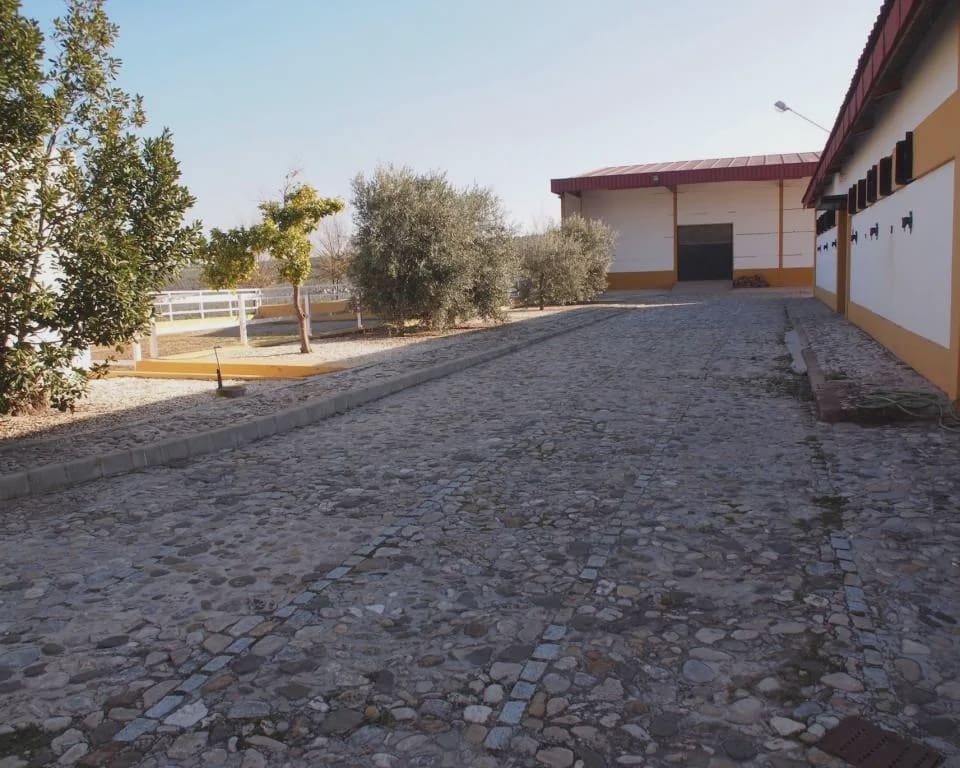 5 soverom Finca/Herregård til salgs i La Puebla de Cazalla med svømmebasseng garasje - € 900 000 (Ref: 8728815)